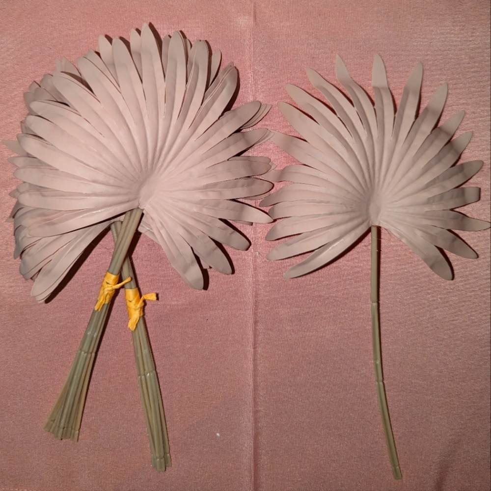 Palm Leave stems (10)